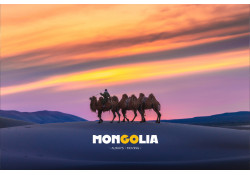 Mongolia Always Moving #1